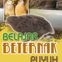 Image of BELAJAR BETERNAK PUYUH [POJOK TU]