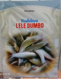 Image of Budidaya LELE DUMBO